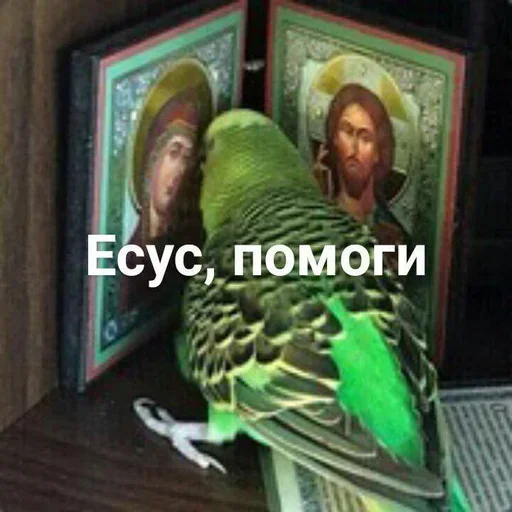 😇 Стикер «xoxolka666» для Telegram
