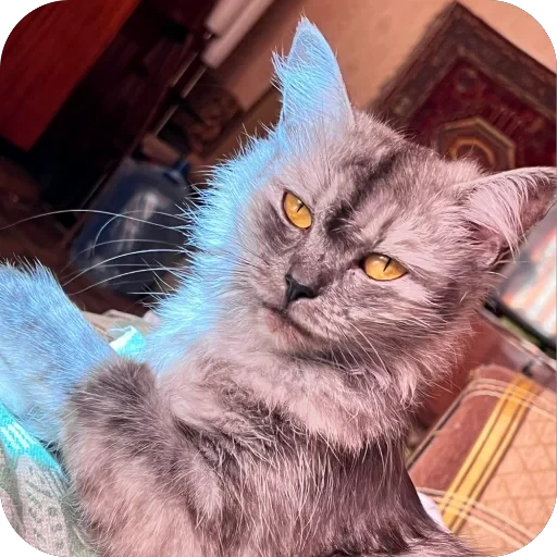 🐱 Стикер «хрумки» для Telegram