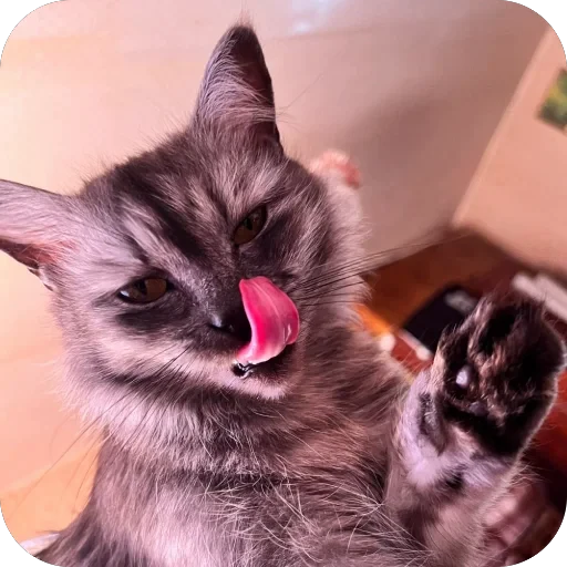 😋 Стикер «хрумки» для Telegram