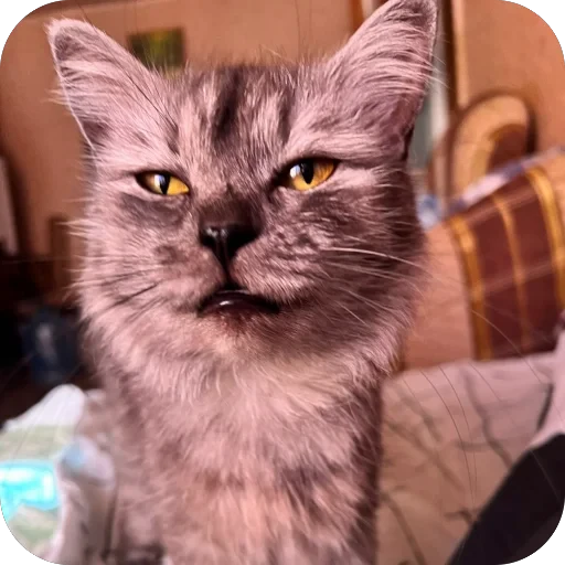 🫥 Стикер «хрумки» для Telegram