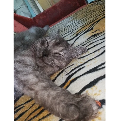 🐱 Стикер «хрумки» для Telegram