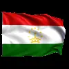 Стикер 38 Flags #flags #status #decor