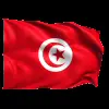 Стикер 33 Flags #flags #status #decor