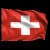 Стикер 39 Flags #flags #status #decor