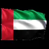 Стикер 29 Flags #flags #status #decor