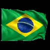 Стикер 21 Flags #flags #status #decor