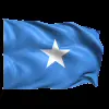 Стикер 49 Flags #flags #status #decor