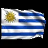 Стикер 28 Flags #flags #status #decor