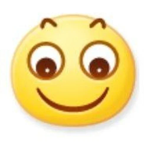 🙂 Стикер «会员代开» для Telegram