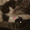😘 Эмодзи «𝐲𝟐𝐤 ➜» для Telegram