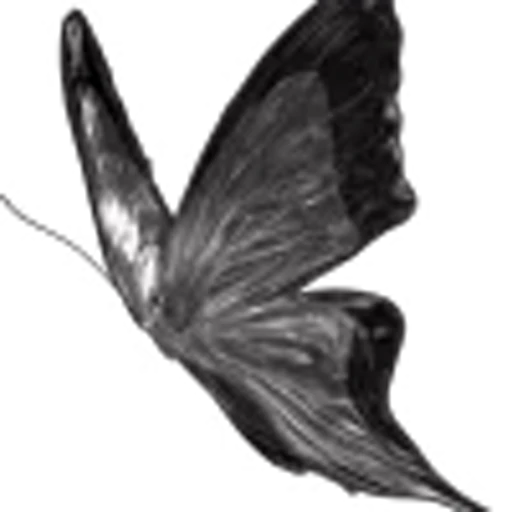🦋 Эмодзи «my wife» для Telegram
