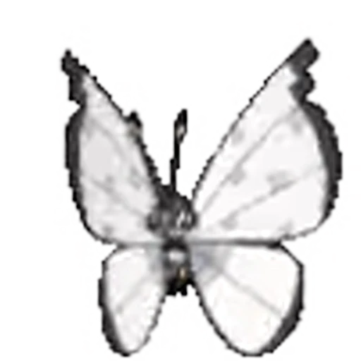 🦋 Эмодзи «my wife» для Telegram