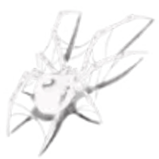 🕷️ Эмодзи «my wife» для Telegram