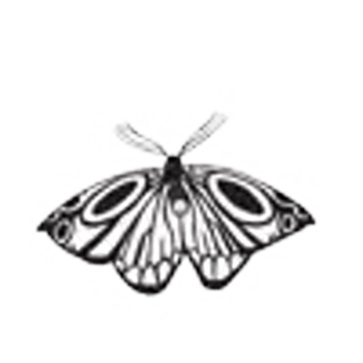 🦋 Эмодзи «my wife» для Telegram