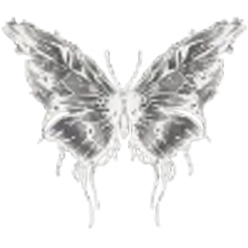 🦋 Эмодзи «my wife» для Telegram