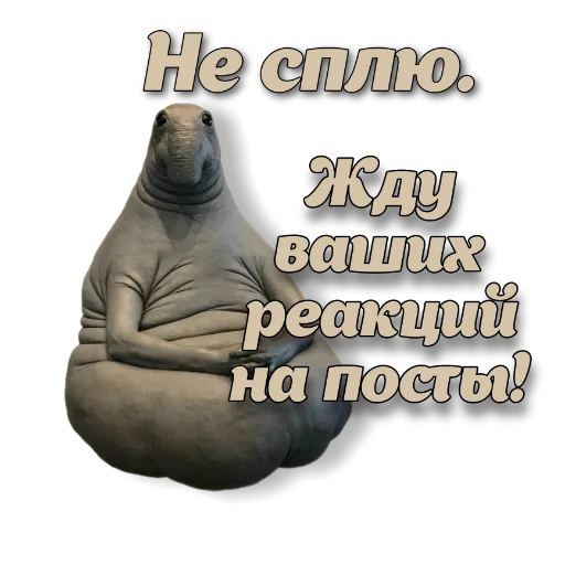 🙇‍♀ Стикер «yackidka 1» для Telegram