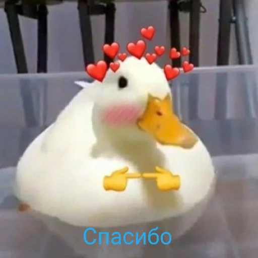 😘 Стикер «Я гусь» для Telegram