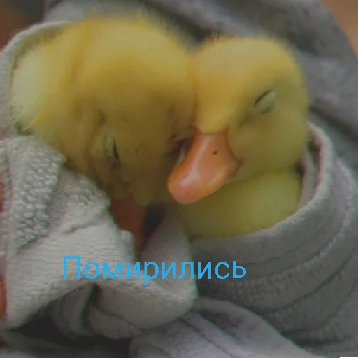 ☺️ Стикер «Я гусь» для Telegram