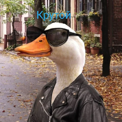 😎 Стикер «Я гусь» для Telegram