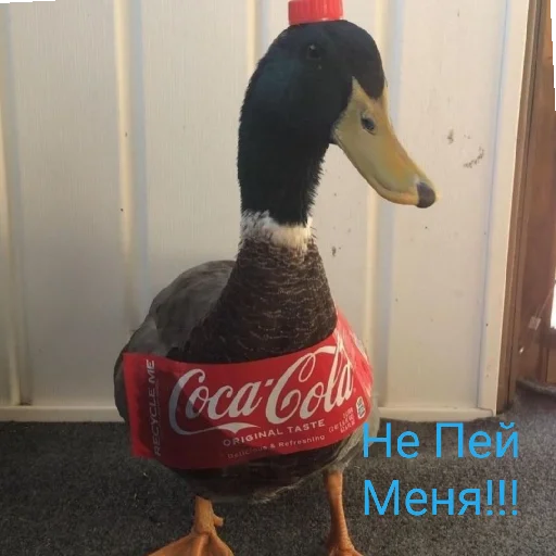 🥤 Стикер «Я гусь» для Telegram