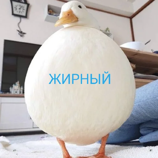😧 Стикер «Я гусь» для Telegram