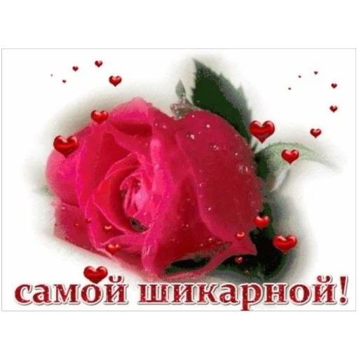 🌹 Стикер «я лучшая ?» для Telegram