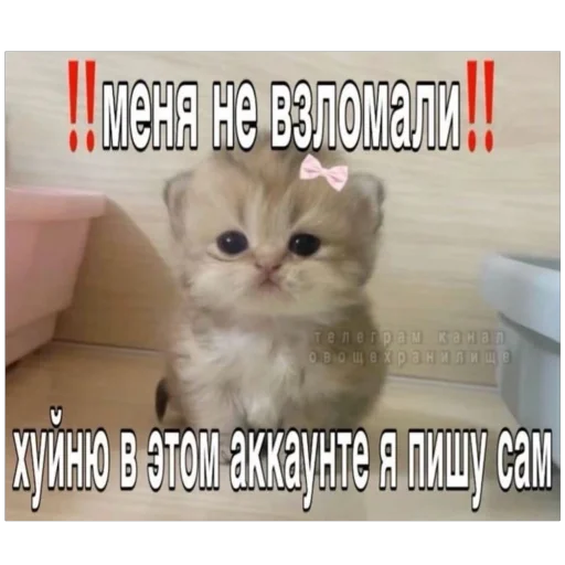 😝 Стикер «я лучшая ?» для Telegram