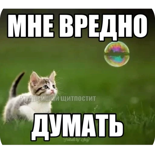 🫥 Стикер «tg» для Telegram