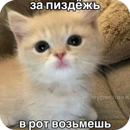 🫥 Стикер «tg» для Telegram