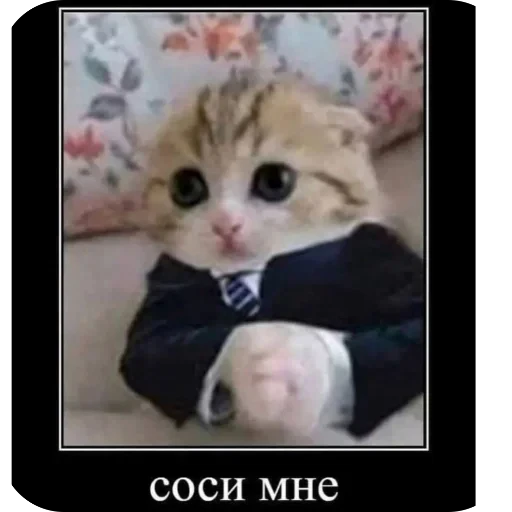🫥 Стикер «tg» для Telegram