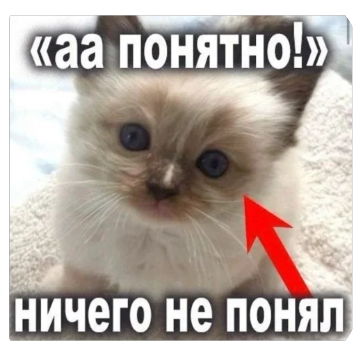 🫥 Стикер «tg» для Telegram