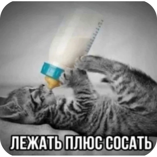 🫥 Стикер «tg» для Telegram