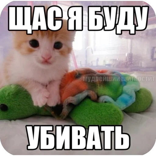 🫥 Стикер «tg» для Telegram