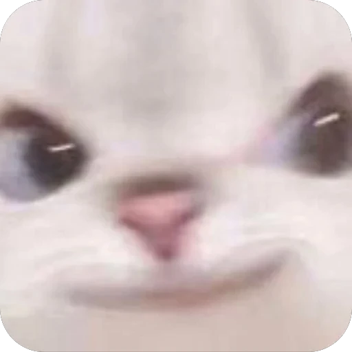 🫥 Стикер «tg» для Telegram