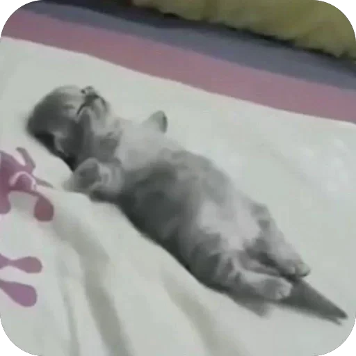 🫥 Стикер «tg» для Telegram