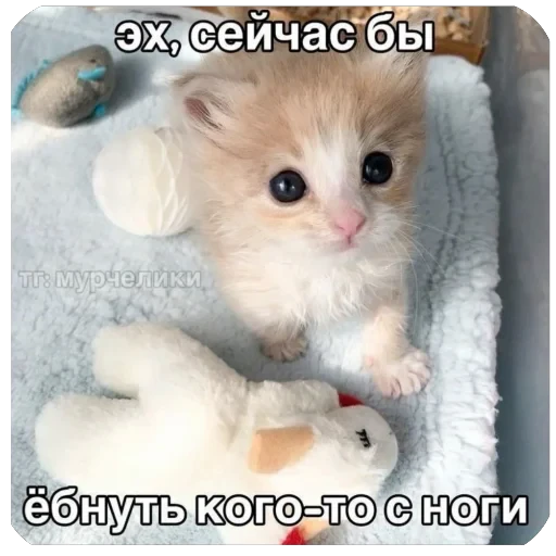 🫥 Стикер «tg» для Telegram