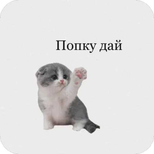 🫥 Стикер «tg» для Telegram