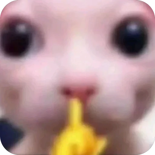 🫥 Стикер «tg» для Telegram