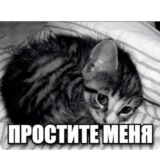🫥 Стикер «tg» для Telegram
