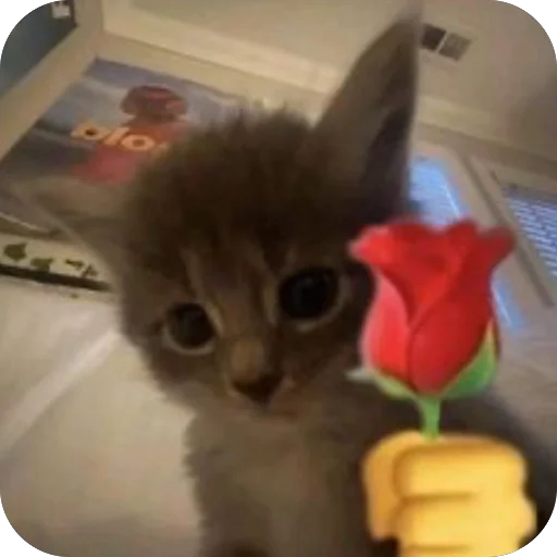 🫥 Стикер «tg» для Telegram