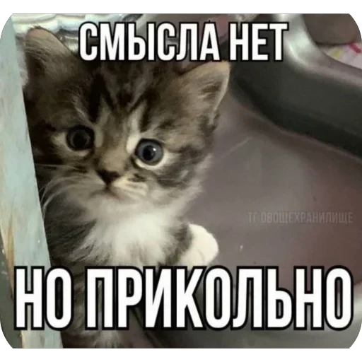 🫥 Стикер «tg» для Telegram
