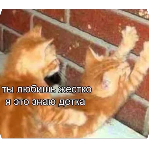 🫥 Стикер «tg» для Telegram