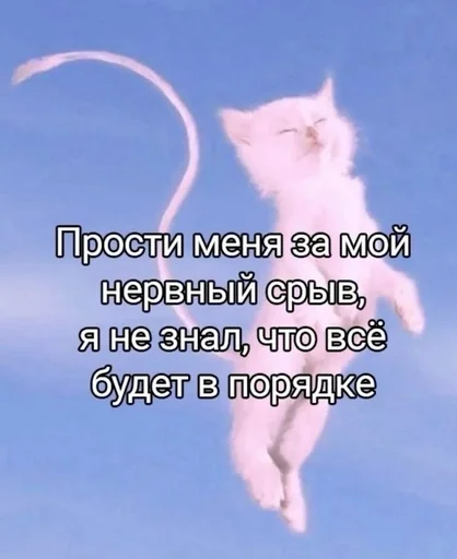 😇 Стикер «Cats memes» для Telegram