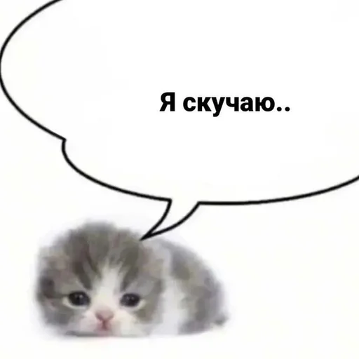 😭 Стикер «Cats memes» для Telegram