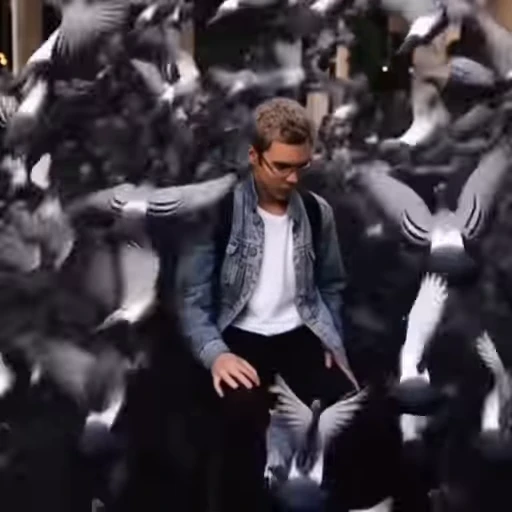 🕊 Стикер «Ян Топлес» для Telegram