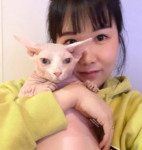 😘 Стикер «кошечка гламурная» для Telegram