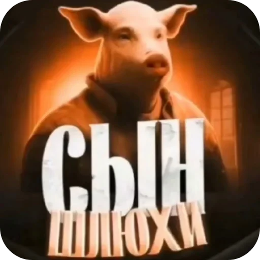 🖼 Стикер «стики» для Telegram