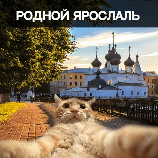 Стикерпак Ярославль для Telegram
