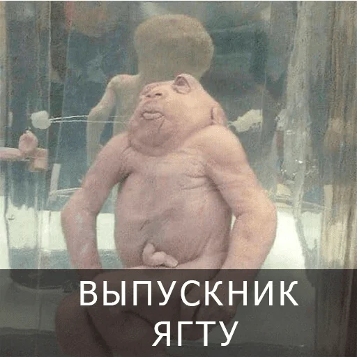 🥸 Стикер «Ярославль» для Telegram