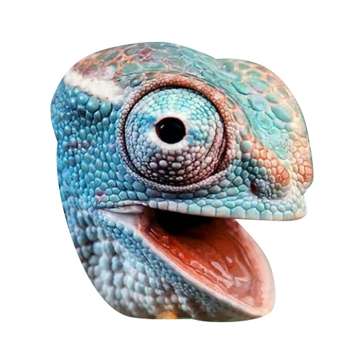 👁 Стикер «Ящерица» для Telegram